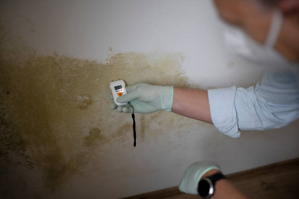Best Industrial Mold Remediation in Gresham Park, GA